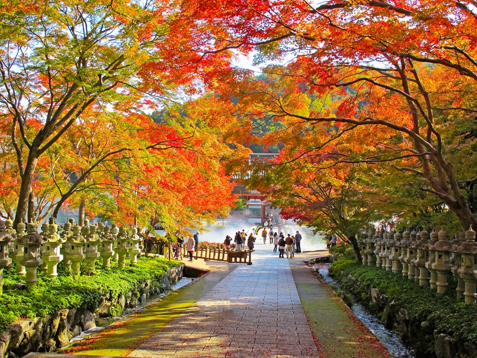 Kansai popular attractions Osaka Katsuoji Temple, Kyoto Arashiyama, Uji Byodoin Temple one-day tour | Optional exclusive A5 premium Kobe beef (depart from Osaka)