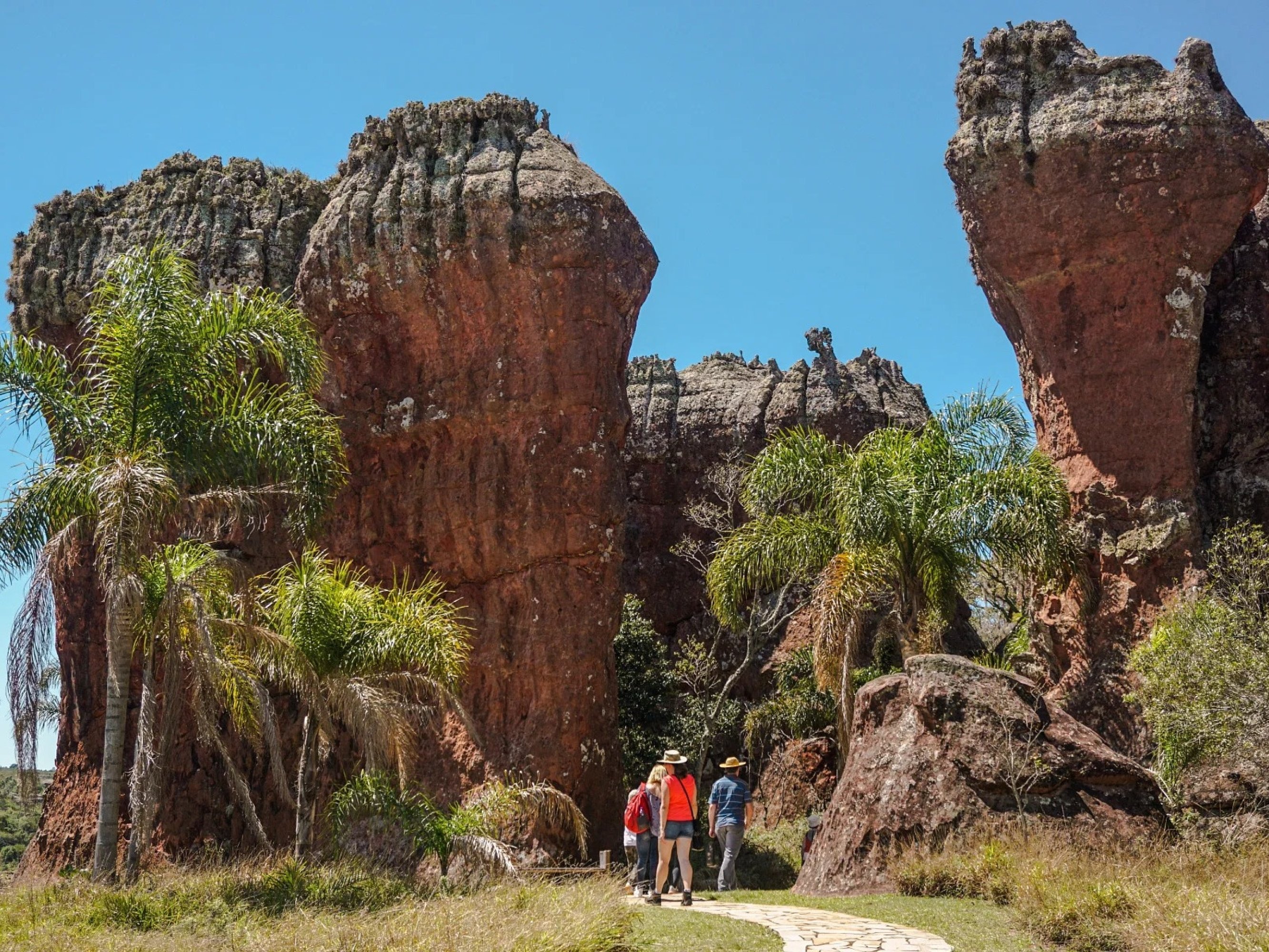 Professional guides share insights on geology, history, and local biodiversity throughout