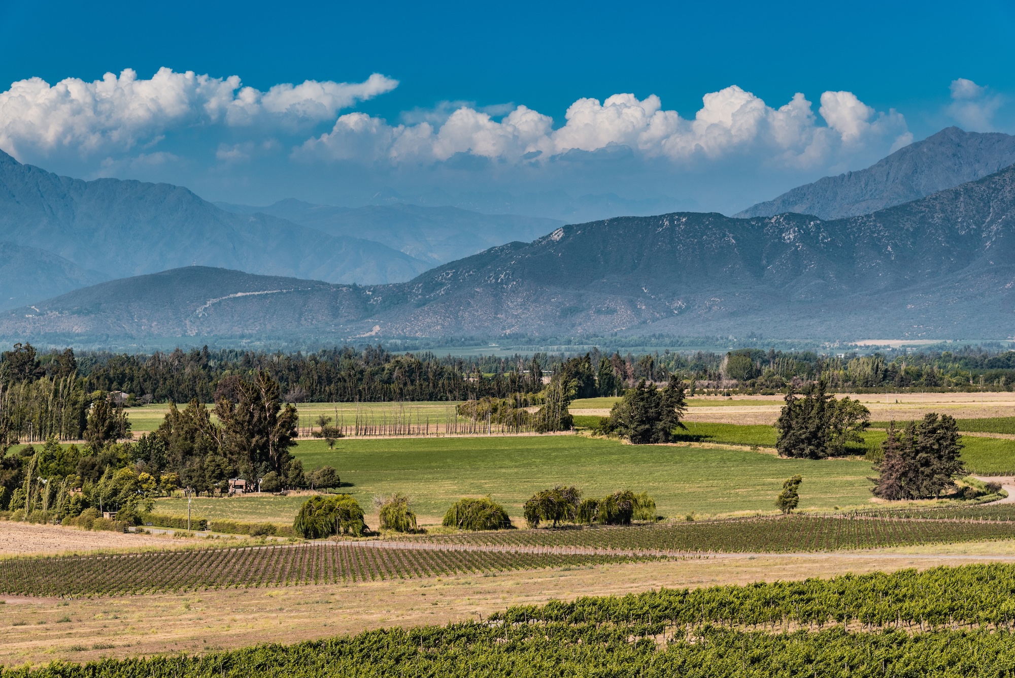 Haras de Pirque Vineyard Tour and Wine Tastings