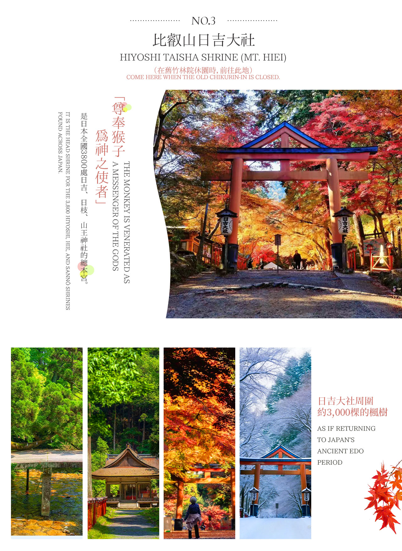 比叡山日吉大社｜“猴神使者” 與 3000 棵楓紅的千年神社