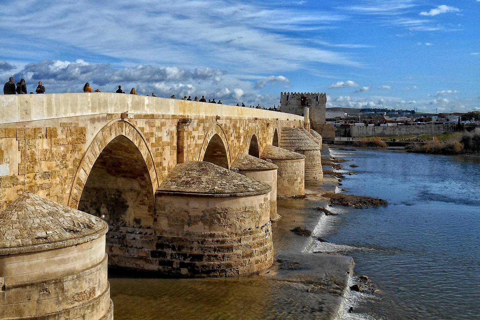 Cordoba and Mosque Cathedral Guided Tour from Seville