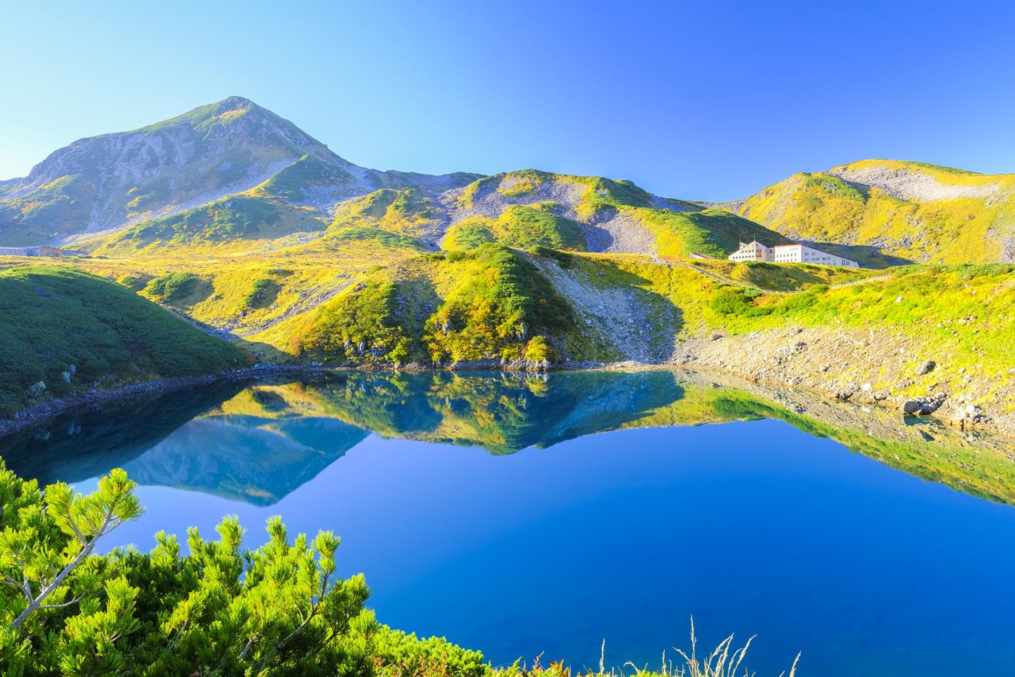 Alpine Nature Walk: Pure Air and Mountain Silenc