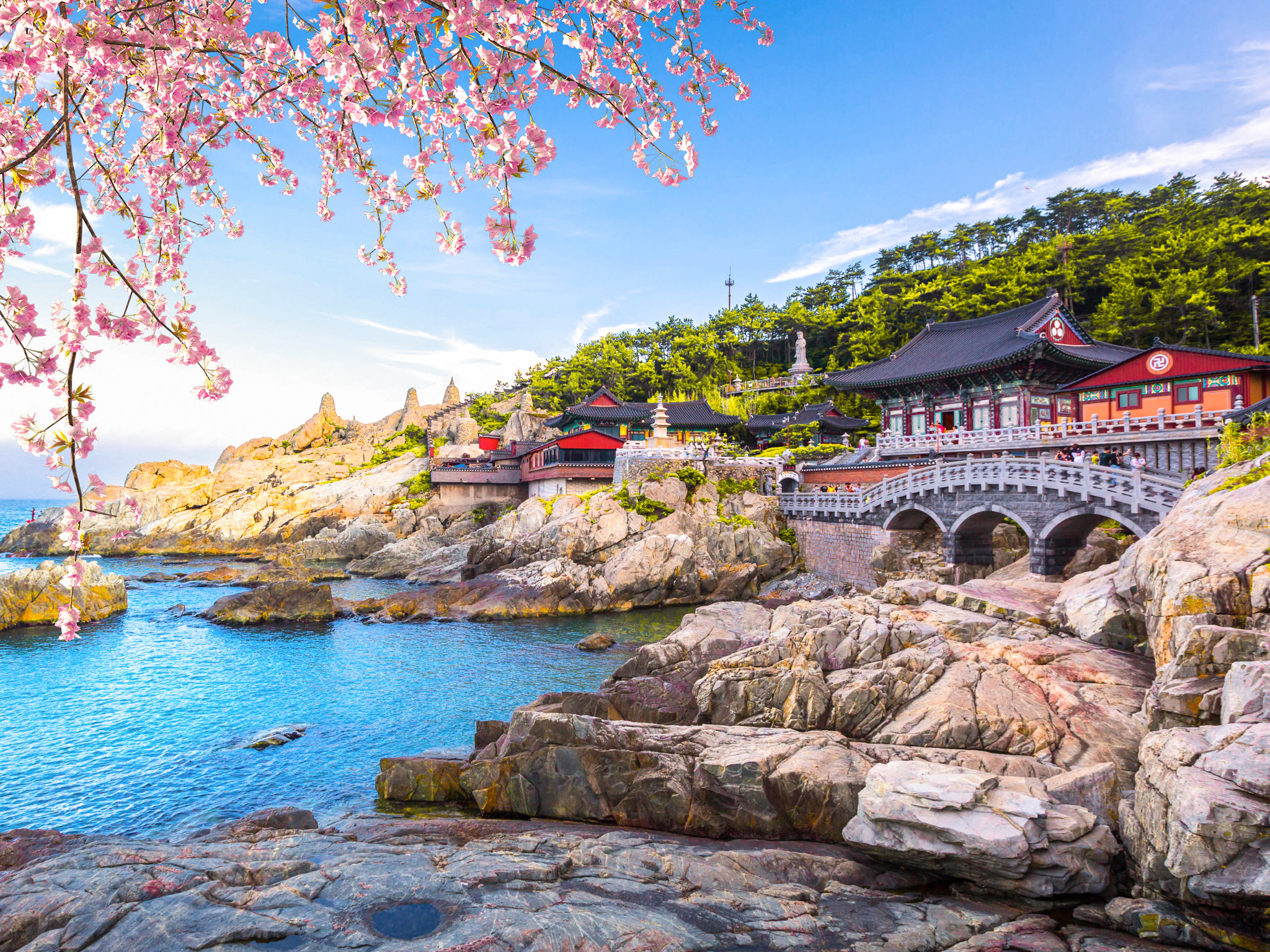 Busan City Top Attractions Tour with Haeundae Blueline Park