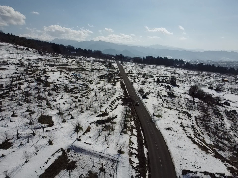 通往猴子公園的道路蜿蜒穿過山坡果園，沿途盡享令人驚嘆的景色。