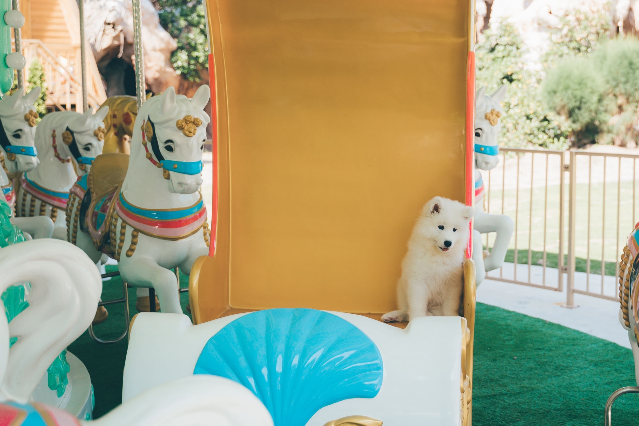 亞洲最大的親子寵物友善空間，與毛小孩同樂的天堂！