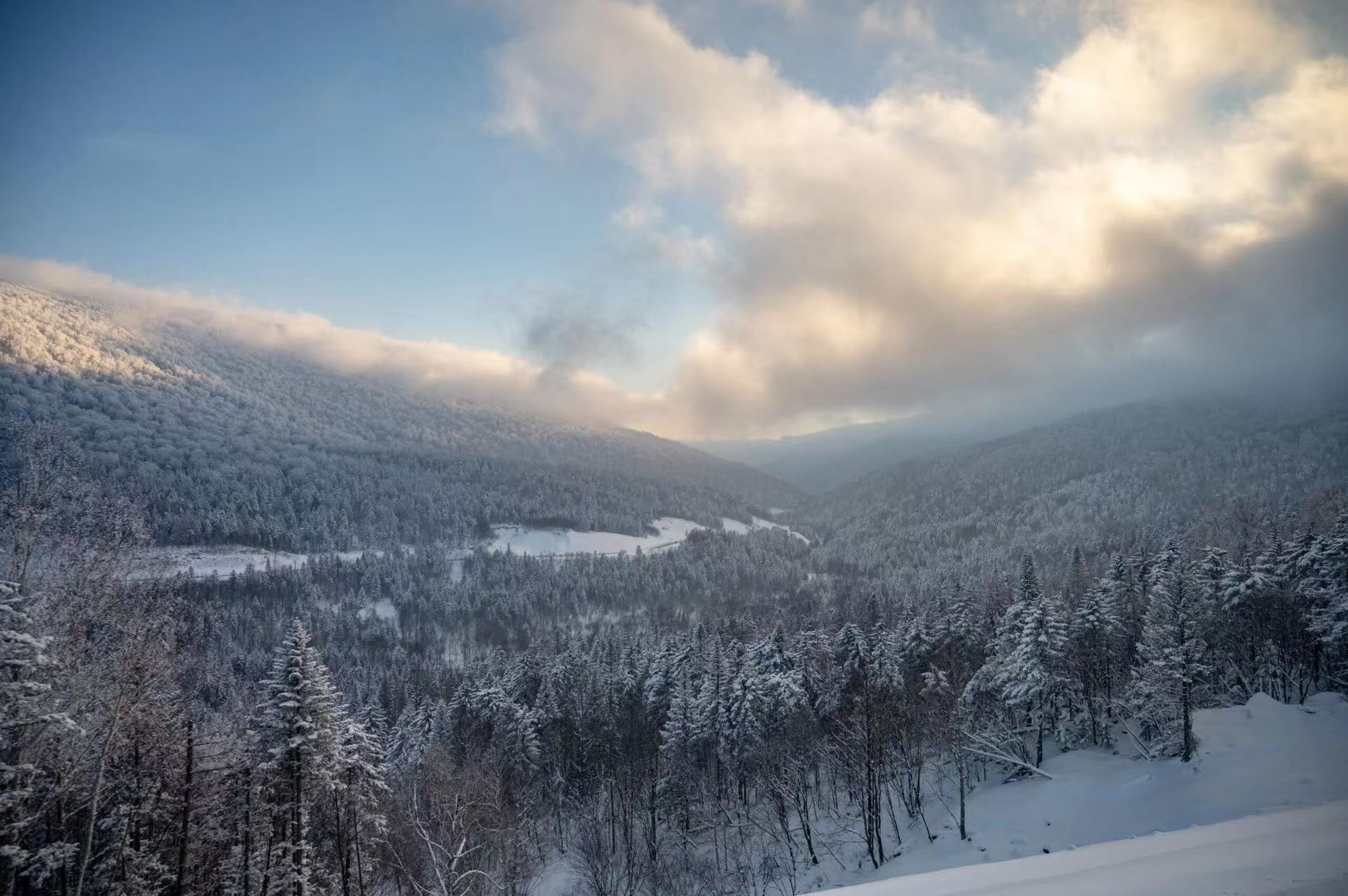 登高遠眺冬日山谷，層層林海被厚雪全覆蓋，連綿群山鋪展遼闊雪原。流雲在天際緩緩浮動，柔和日光灑落在山林之間。視野開闊蒼茫，盡顯北國高山雪原大氣磅礴的冬日山河畫卷