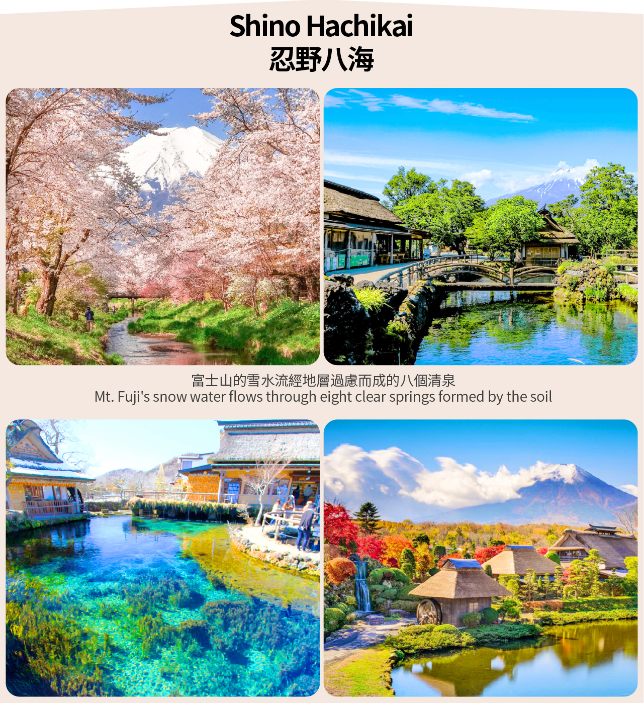 【富士山單車騎行抹茶體驗泡溫泉深度二日遊】河口湖&抹茶體驗&纜車&溫泉&山中湖騎行&忍野八海&新倉山淺間公園深度二日遊