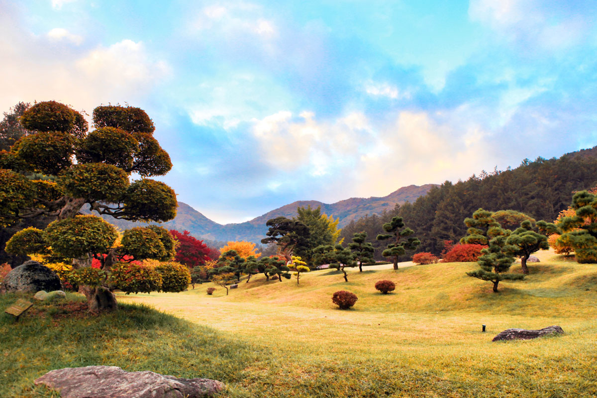 漫步靜謐之中 — 享受被大自然環繞的悠閒漫步，呼吸清新山間空氣，聆聽療癒鳥鳴。