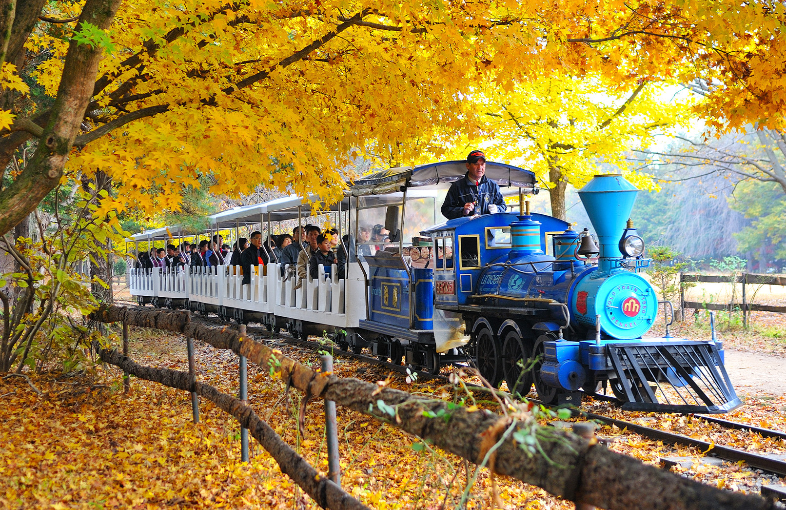 Nami Island Customizable Private Day Tour from Seoul