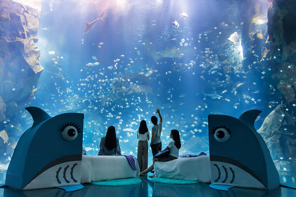 Xpark夜宿：Blu Night宿海奇遇