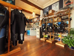 Half-Day Dive Trip in Island Bay Wellington with PADI Dive Center