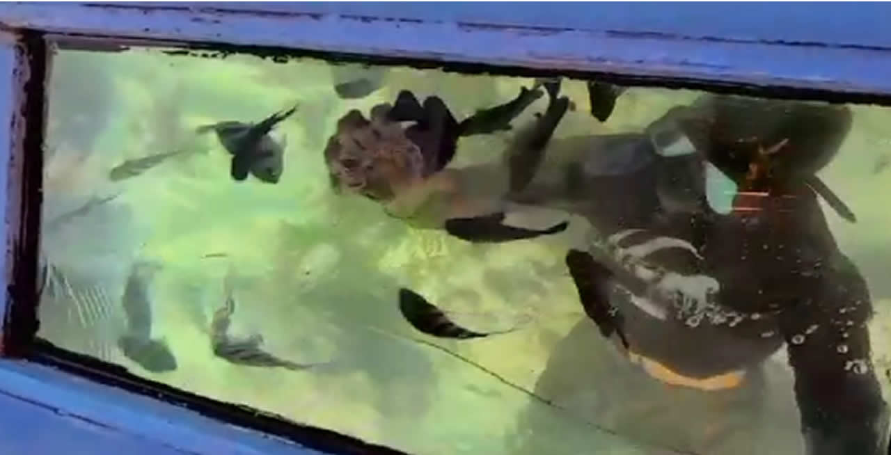 Glass Bottom Boat Activity in Diani Beach, Kenya