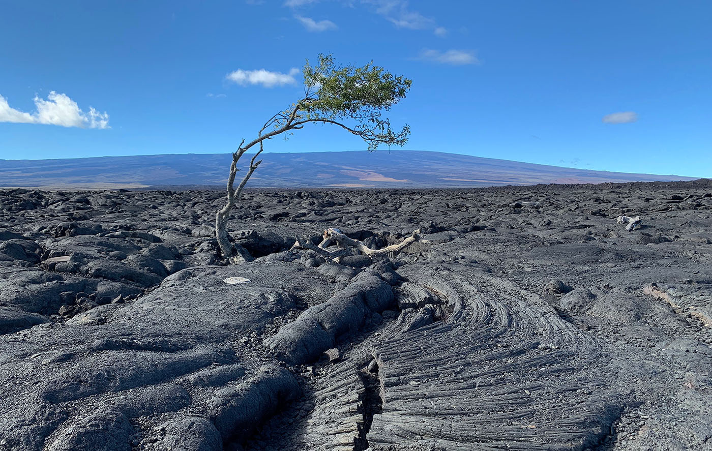 探索夏威夷火山地貌中崎嶇的熔岩地層,同時盡情體驗大島的自然風光。 探索夏威夷火山地貌中崎嶇的熔岩地層,同時盡情體驗大島的自然風光。