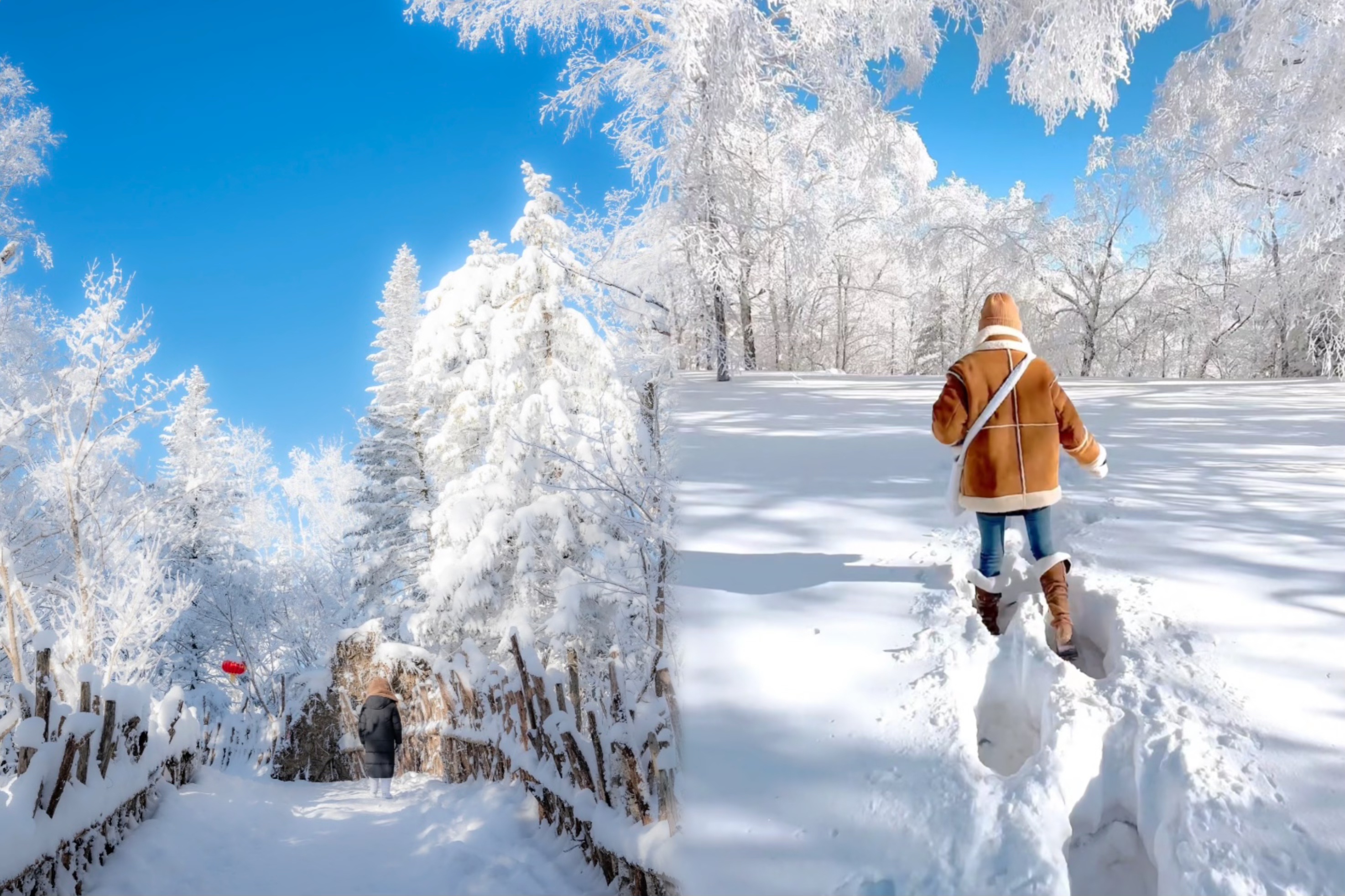 【冰雪/十里畫廊景點介紹】
第一段：穿林海賞奇景:參觀長達700米林中觀光棧道，賞冰雪樹掛。行走在原始倒木自然形成的林中迷宮。品美如童話的瑞雪蘑菇園。
第二段：行程體驗林區生活:參觀獵戶小屋，拍攝雪塑區奇景。在體驗館中穿上狗皮大衣，親自體驗伐木人的生活。並觀看林區生活，工作，狩獵所使用的工具。
第三段：行程跨雪原穿越積雪1200毫米以上的原始雪原。欣賞著大自然給我們的美景同時，也是對自己毅力和體魄的鍛鍊。(建議遊客進行初級穿越，路程1.5公里時間大約45分鐘，極限穿越到主峰，往返路程約為7公里時間大約6小