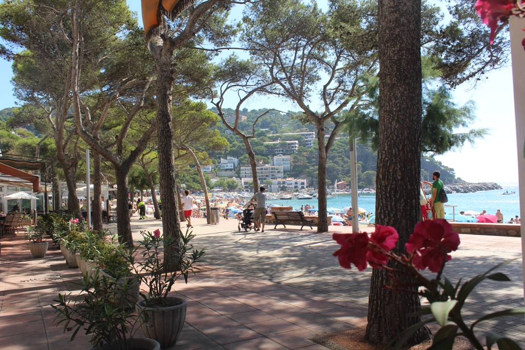Costa Brava Full-Day Tour from Barcelona