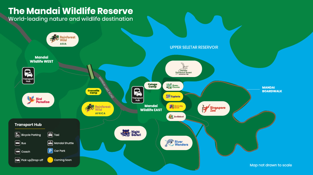 mandai singapore zoo bird paradise river wonders bird park night safari