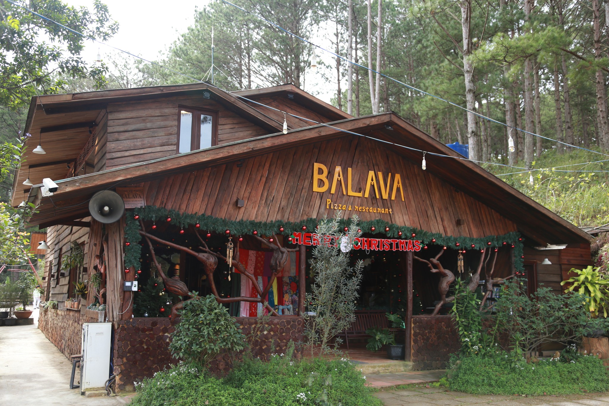 Pizza Making by Hand Experience in Balava Dalat