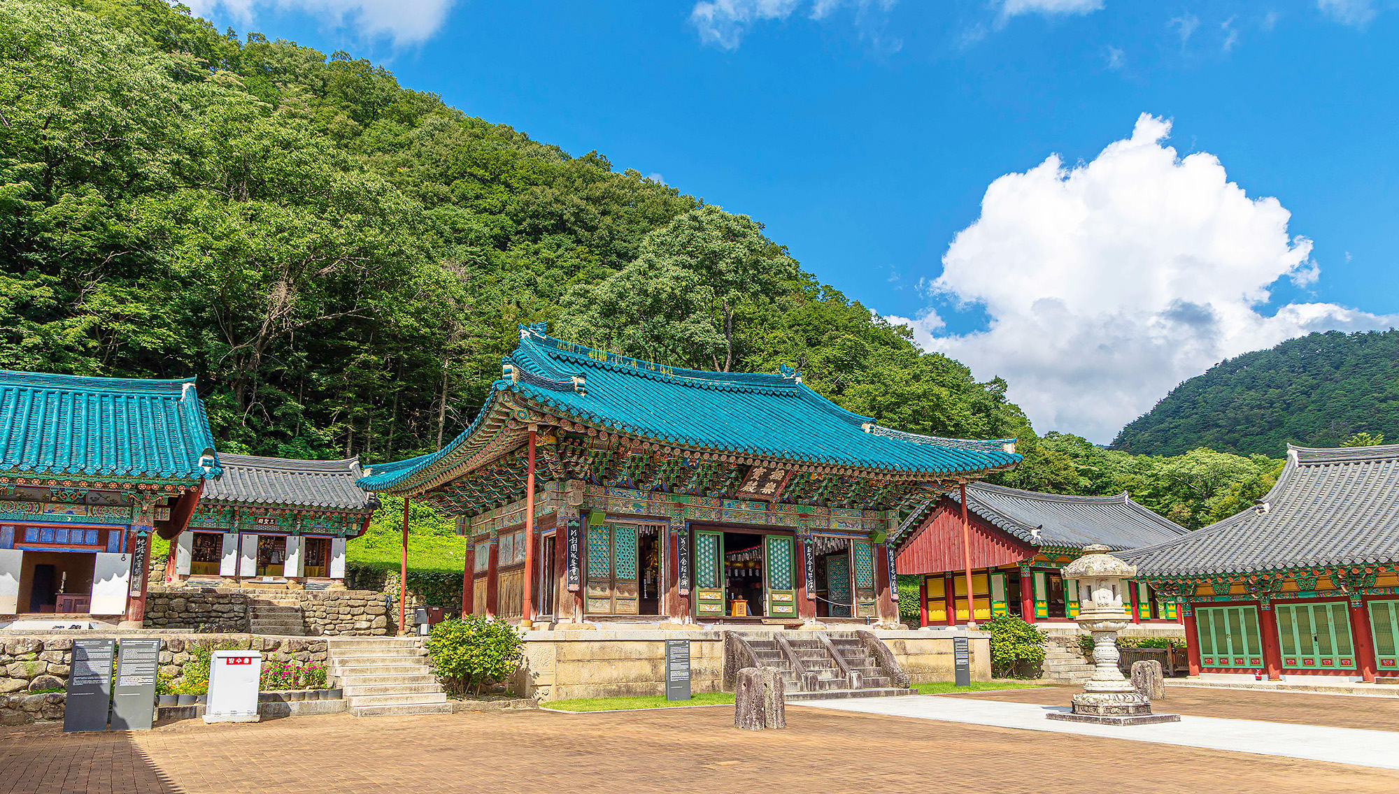 在夏日芬芳瀰漫時，參觀寺廟吧！