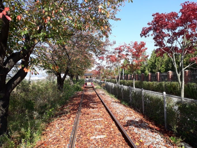 微風輕拂、水波粼粼，營造出寧靜放鬆的氛圍。