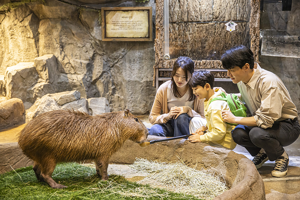 Gyeonggi Hanam Zoolung Zoolung Indoor Animal Theme Park Ticket