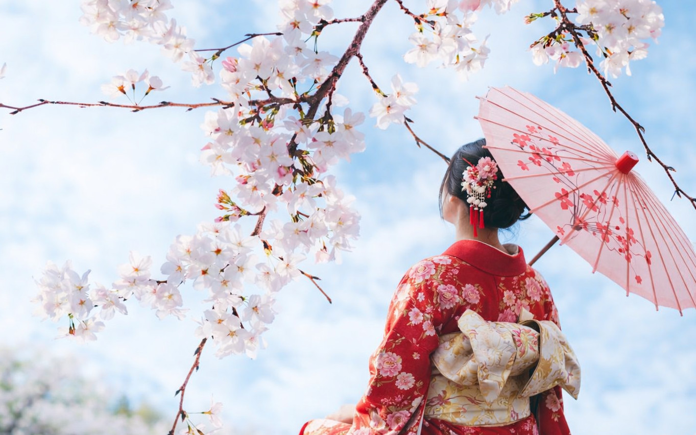 [Early Spring Limited Cherry Blossom Viewing] Saga, Kyushu | Mifuneyama Rakuen & Yutoku Inari Shrine & Dazaifu Tenmangu Shrine & Oouo Shrine & Asahioka Park | Departure from Fukuoka
