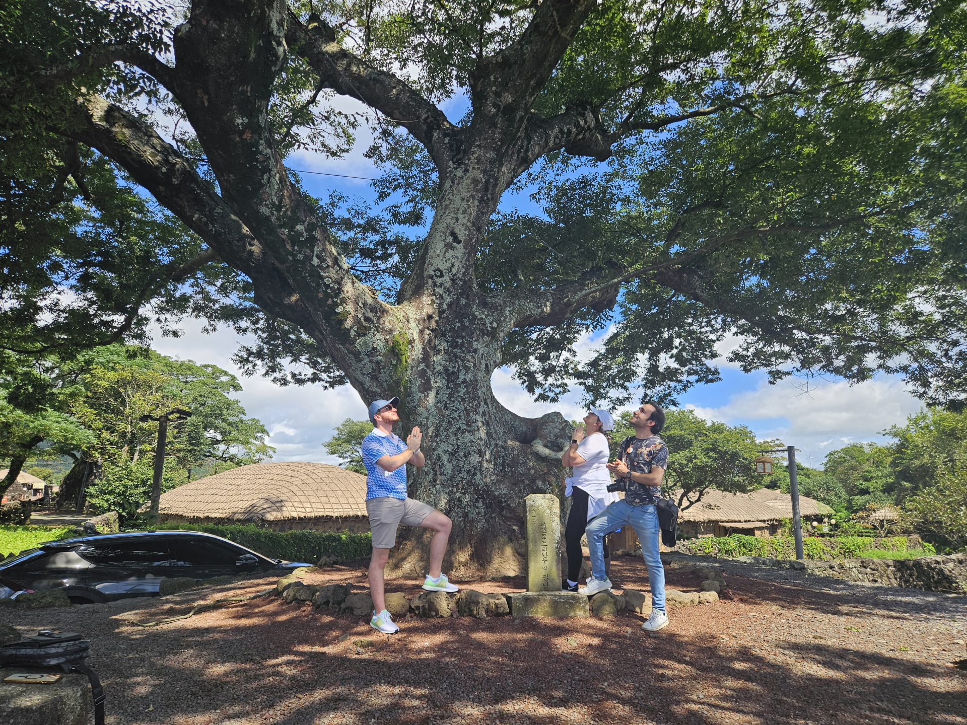 在城邑民俗村千年古樹下，感受大自然的歷史厚重，捕捉真正特別的瞬間。