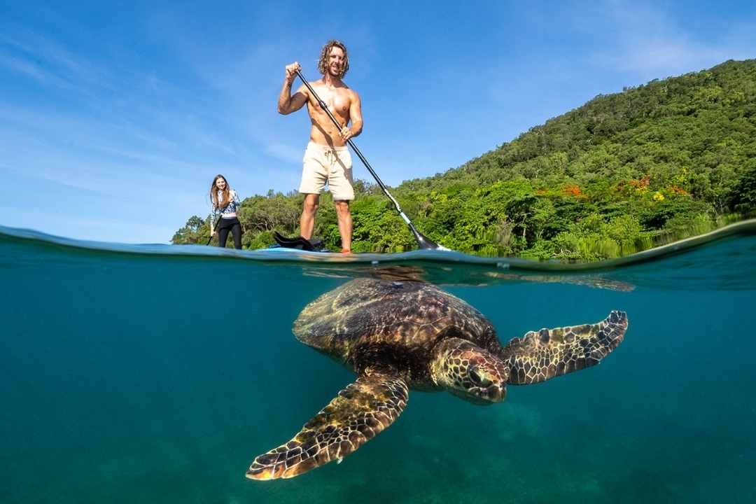 Paddle Board & Kayak on the Great Barrier Reef at Fitzroy Island