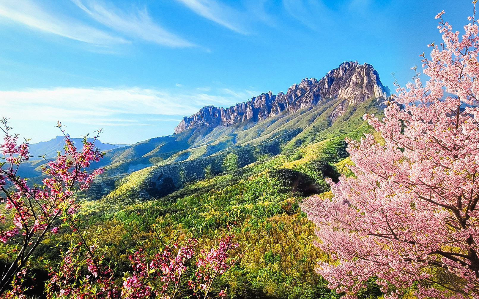 Nami Island & Mt.Seorak & Alpaca Seasonal Tour