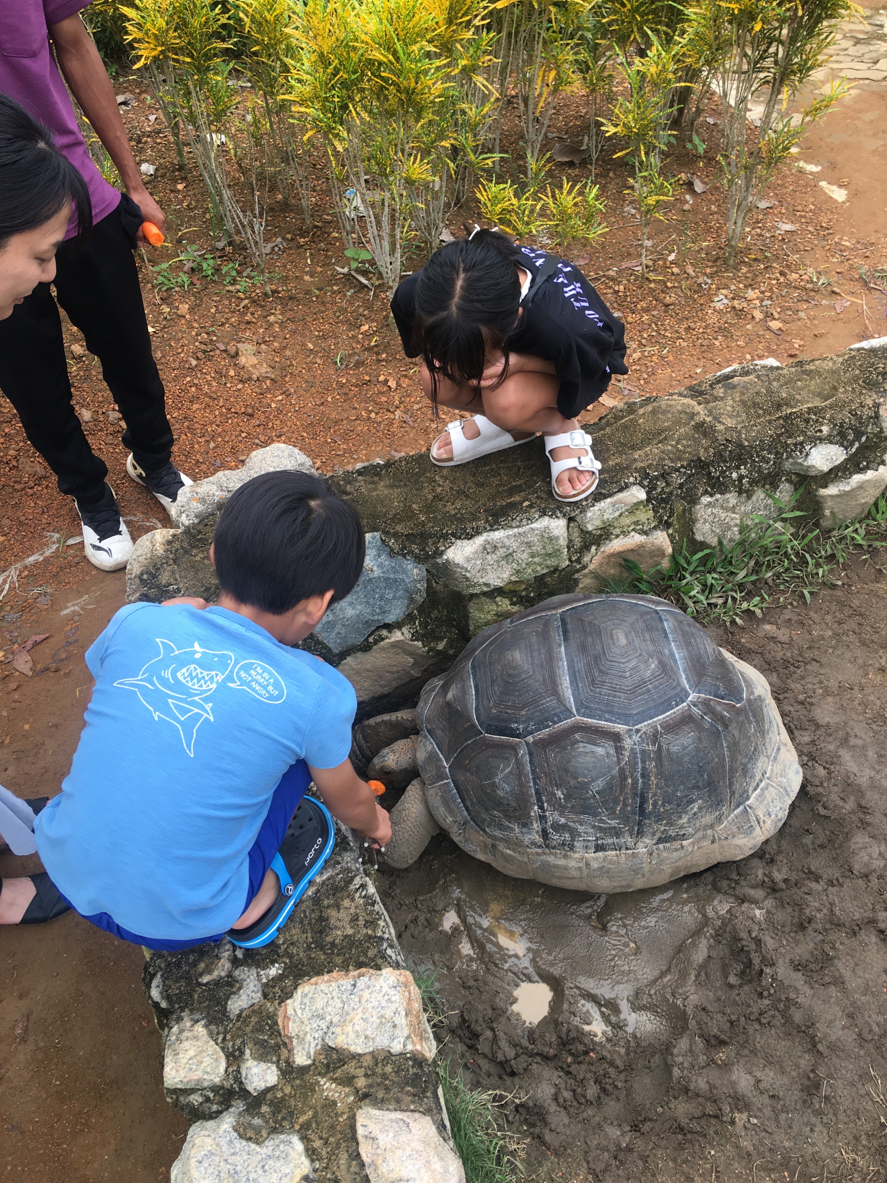 民丹島野生動物園（Safari Lagoi）＆ 生態農場之旅