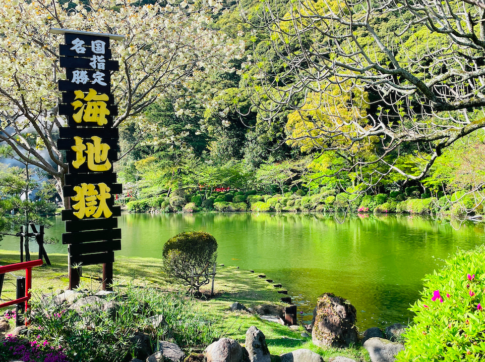 🌸櫻花季限定行程之：海地獄 櫻花落葉 × 蓮花池🌿
夏季時，園區內的大鬼蓮（王蓮）盛開，寬大的蓮葉漂浮於水面，景象壯觀獨特；而春季櫻花與蓮花池的搭配，更讓海地獄呈現出柔美與震撼並存的雙重魅力。