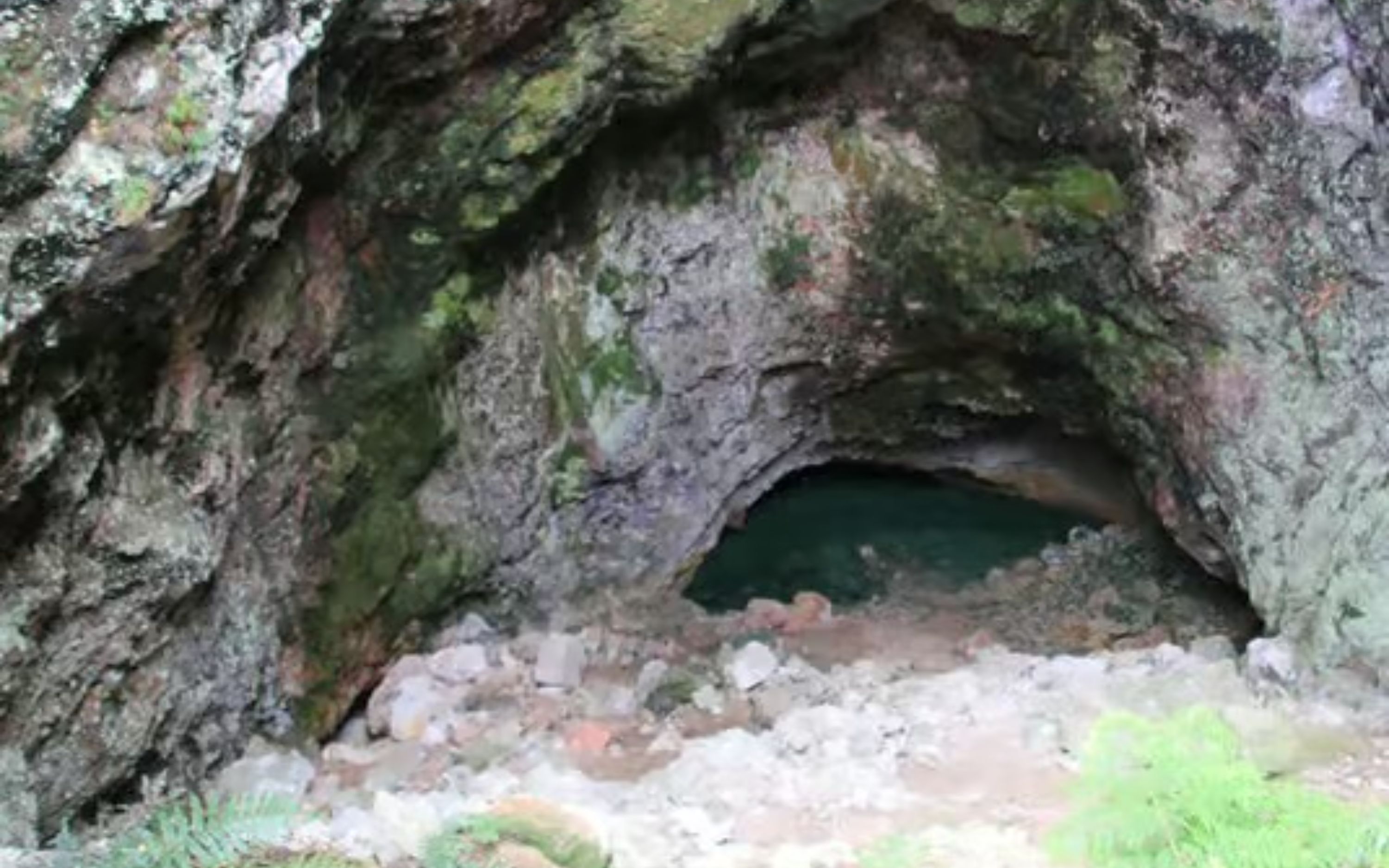 Discover New Zealand’s geothermal hotspots on a day trip from Rotorua Discover New Zealand’s geothermal hotspots on a day trip from Rotorua