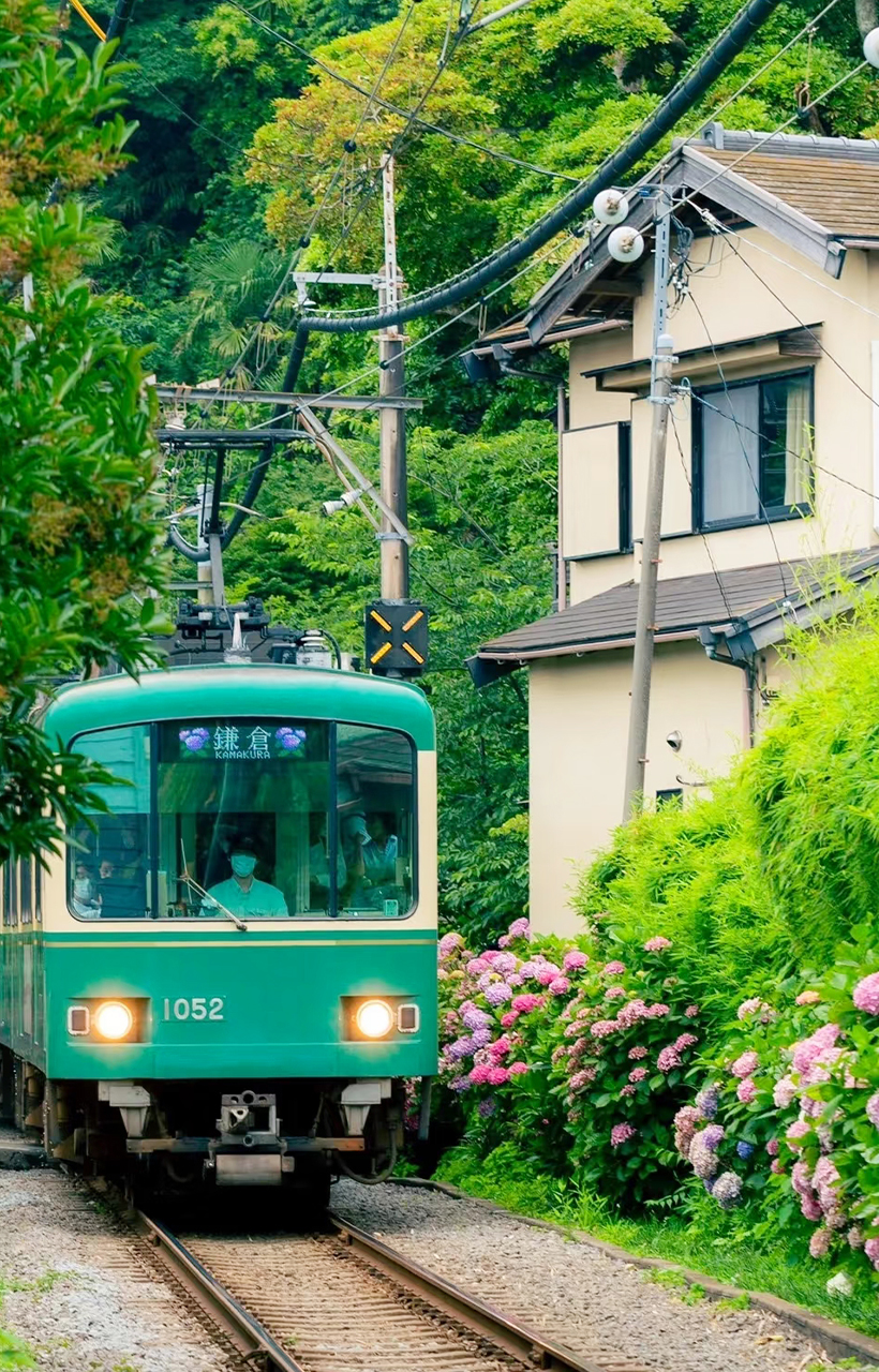 江之電開通於1902年,至今已有超過120年曆史,全長約10公里,共15個車站。列車以復古的綠色車身和慢速行駛聞名,穿梭於鎌倉古都與湘南海岸之間,被親切地稱為“移動的觀景臺”。鐵軌緊貼海岸線鋪設,部分路段距離沙灘僅數米,乘客可在車廂內直接欣賞波光粼粼的相模灣美景。 江之電開通於1902年,至今已有超過120年曆史,全長約10公里,共15個車站。列車以復古的綠色車身和慢速行駛聞名,穿梭於鎌倉古都與湘南海岸之間,被親切地稱為“移動的觀景臺”。鐵軌緊貼海岸線鋪設,部分路段距離沙灘僅數米,乘客可在車廂內直接欣賞波光粼粼的相模灣美景。