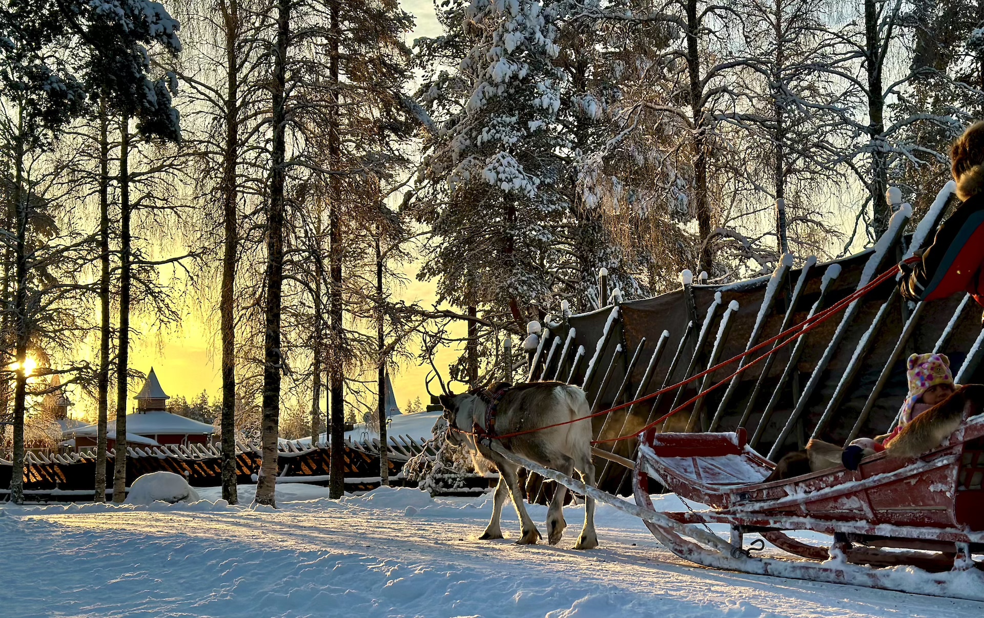 體驗 400 公尺的傳統馴鹿雪橇之旅。 體驗 400 公尺的傳統馴鹿雪橇之旅。