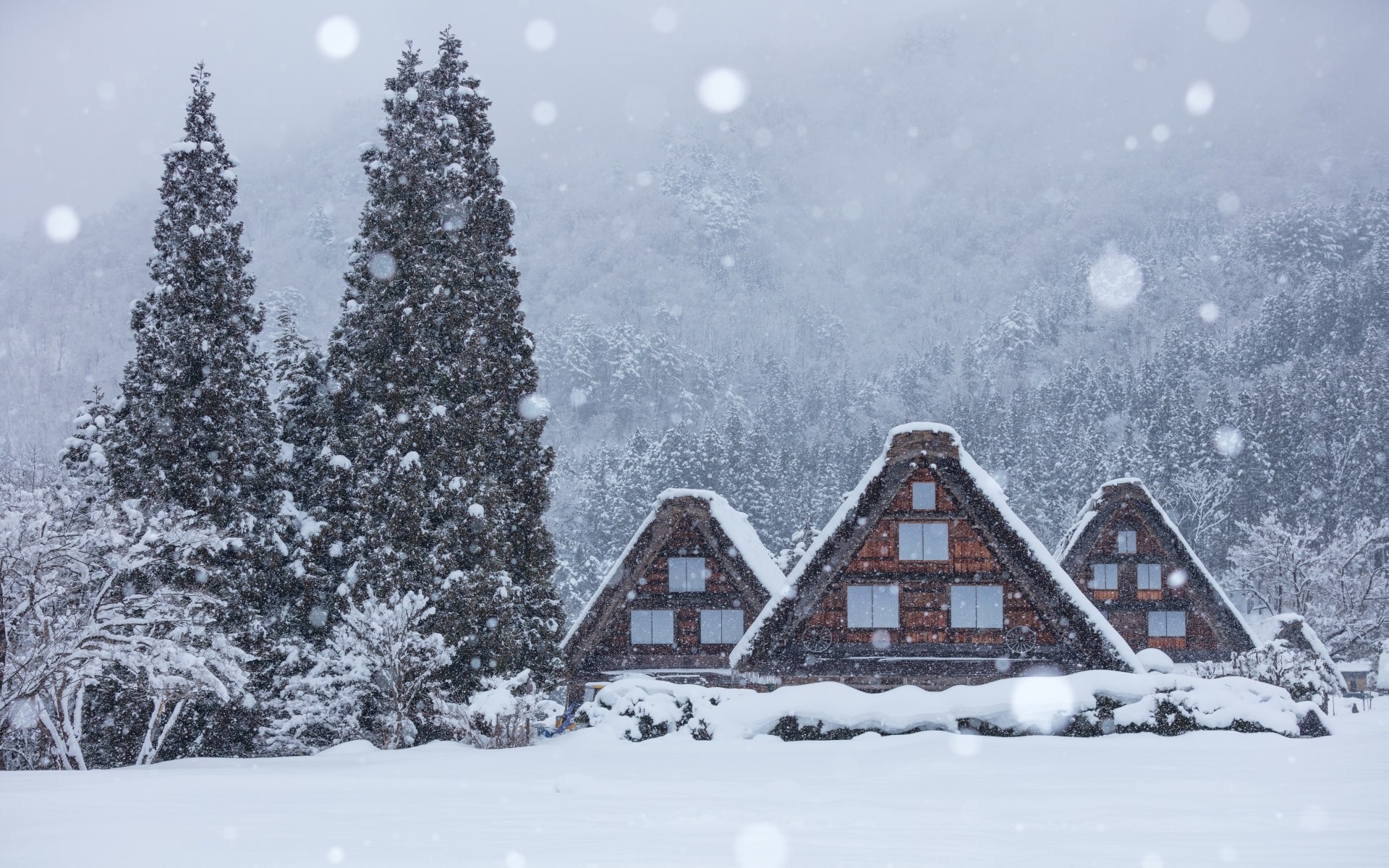 Nagoya Shirakawa-go & Hida Takayama Full-Day Tour with Guide