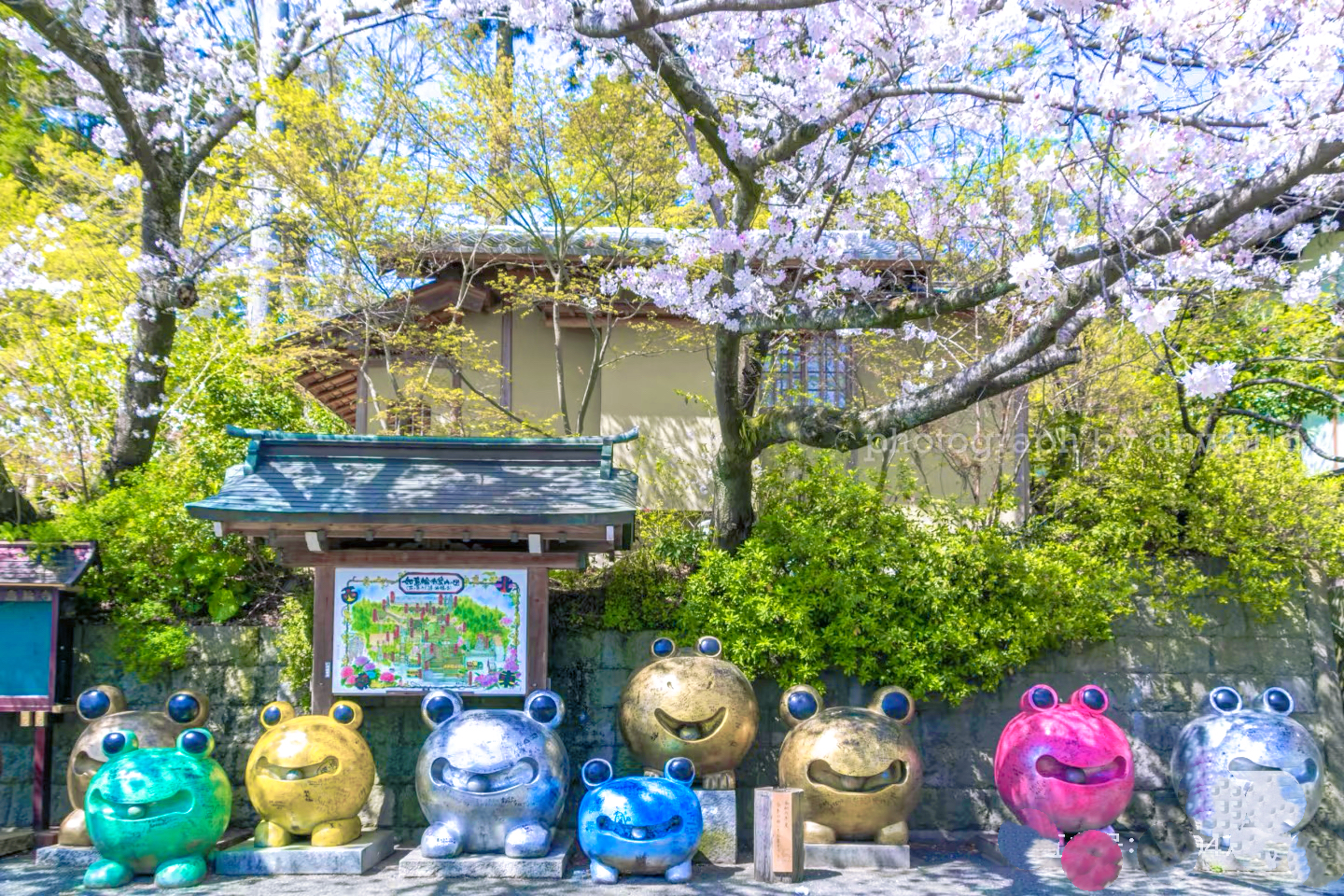 Ruyilun Temple, also known as the Frog Shrine, houses 5,000 cute frog stone statues with different expressions.