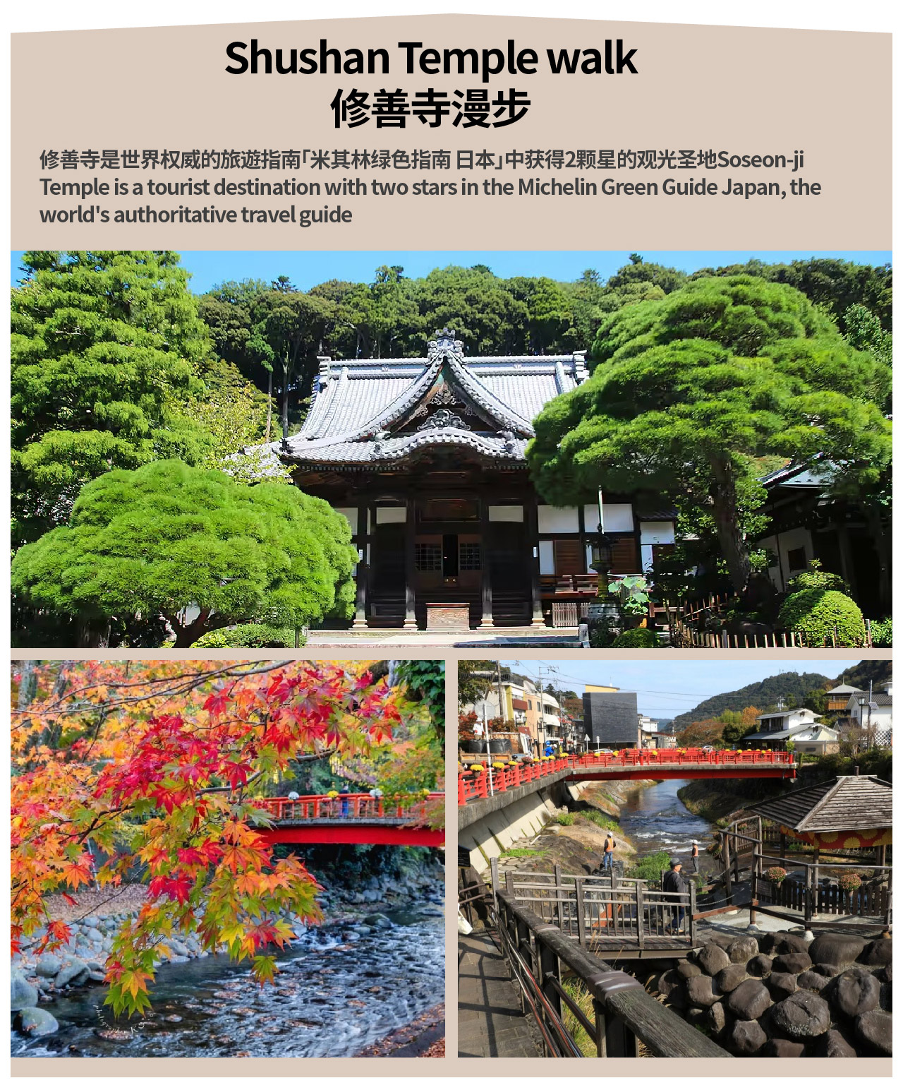 【熱海&伊豆溫泉深度二日遊】MOA美術館&來宮神社&三島天空步道&修善寺瀧亭溫泉&大室山&城崎海岸二日遊(東京出發）