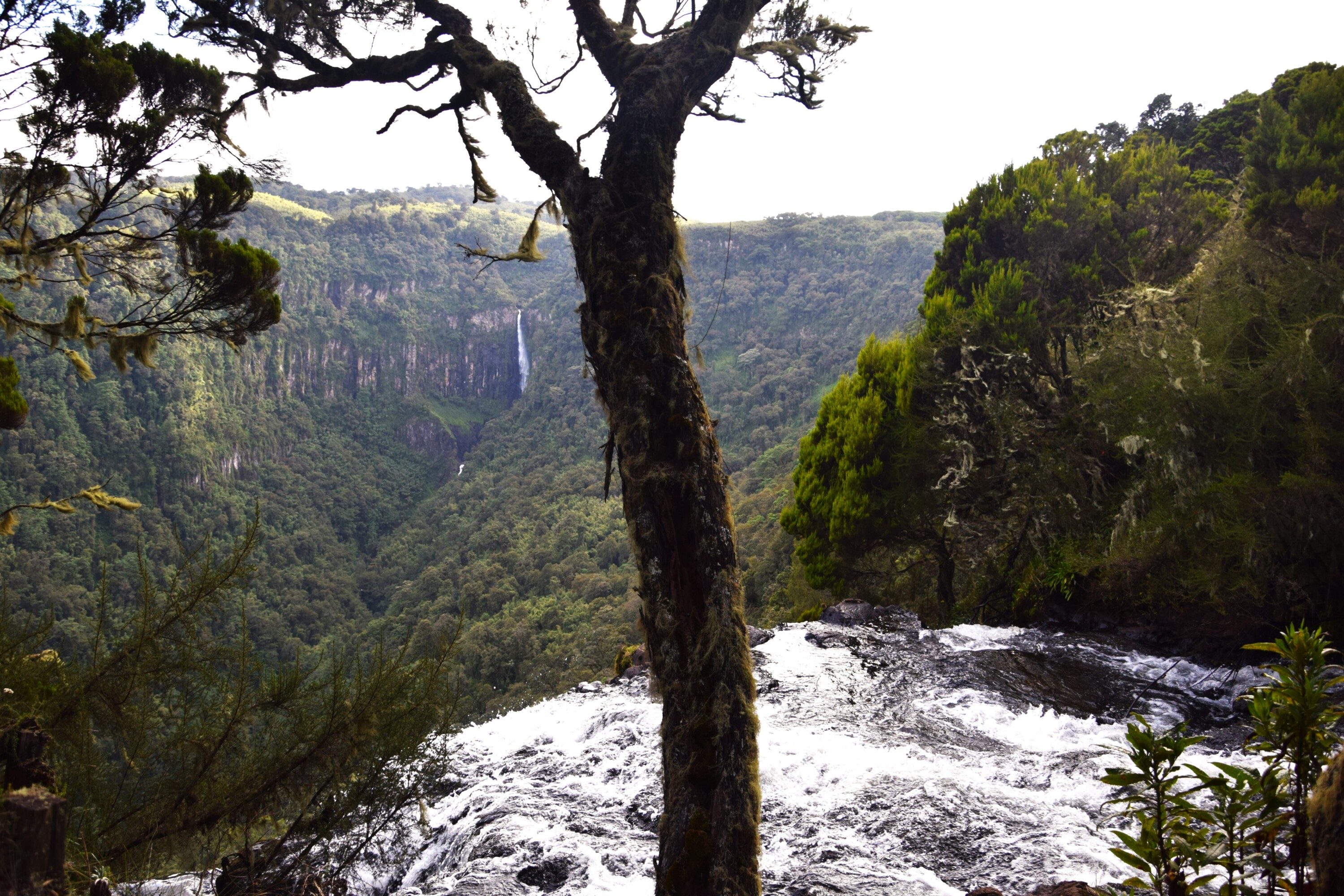 Nairobi 2-Day Aberdare Camping Safari: Waterfalls & Wilderness