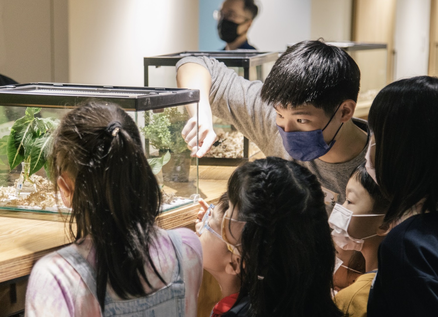 Ento Buzz Museum in Taipei