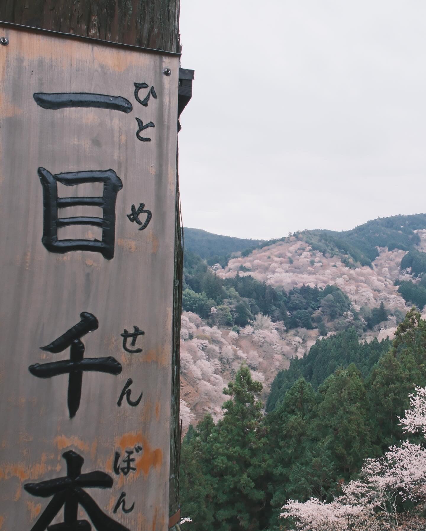 一目千本 打卡地