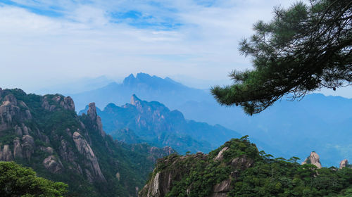 Sanqingshan Scenic Area