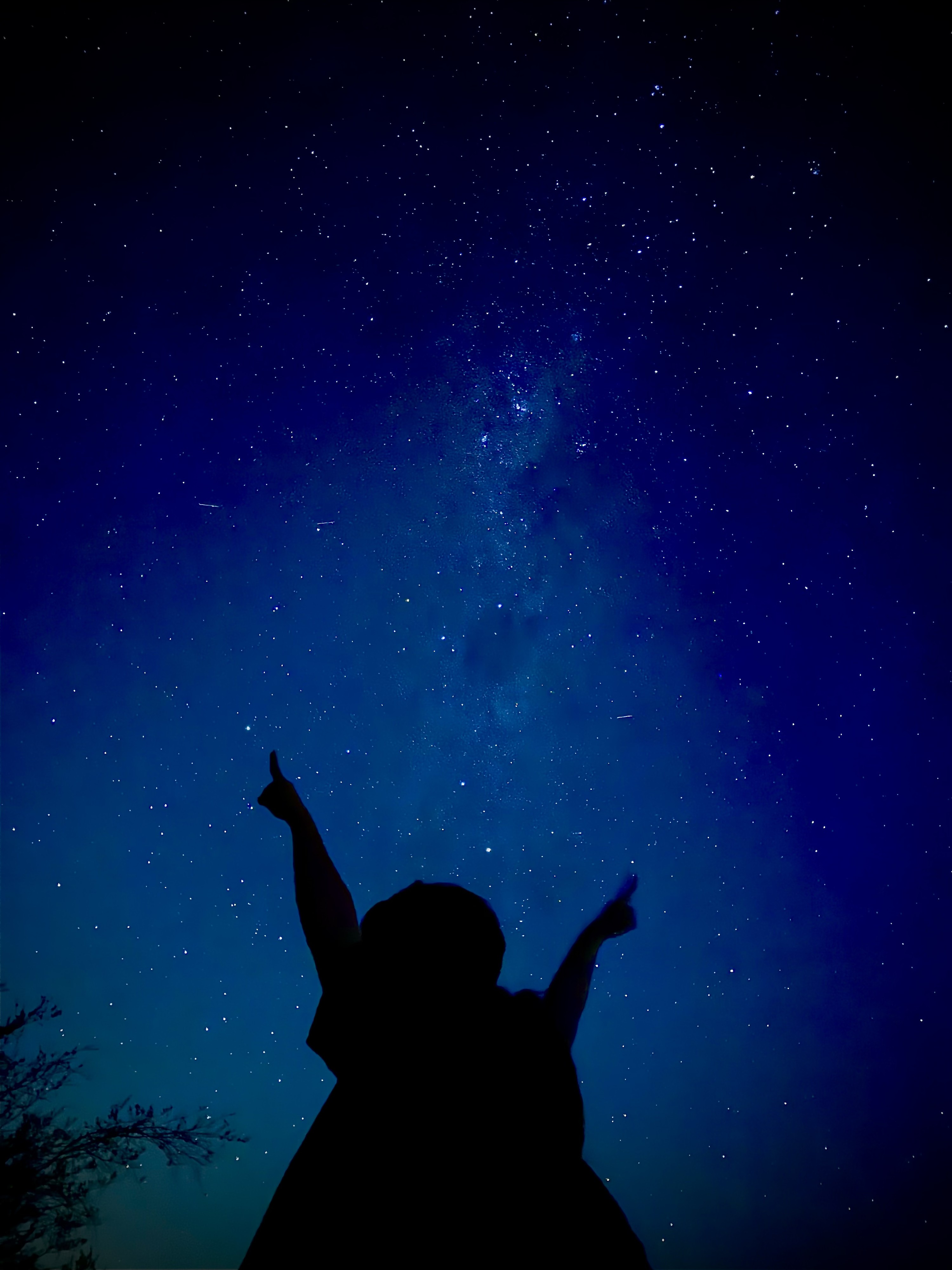 Частный тур по Голубым горам на закате и для наблюдения за звездами