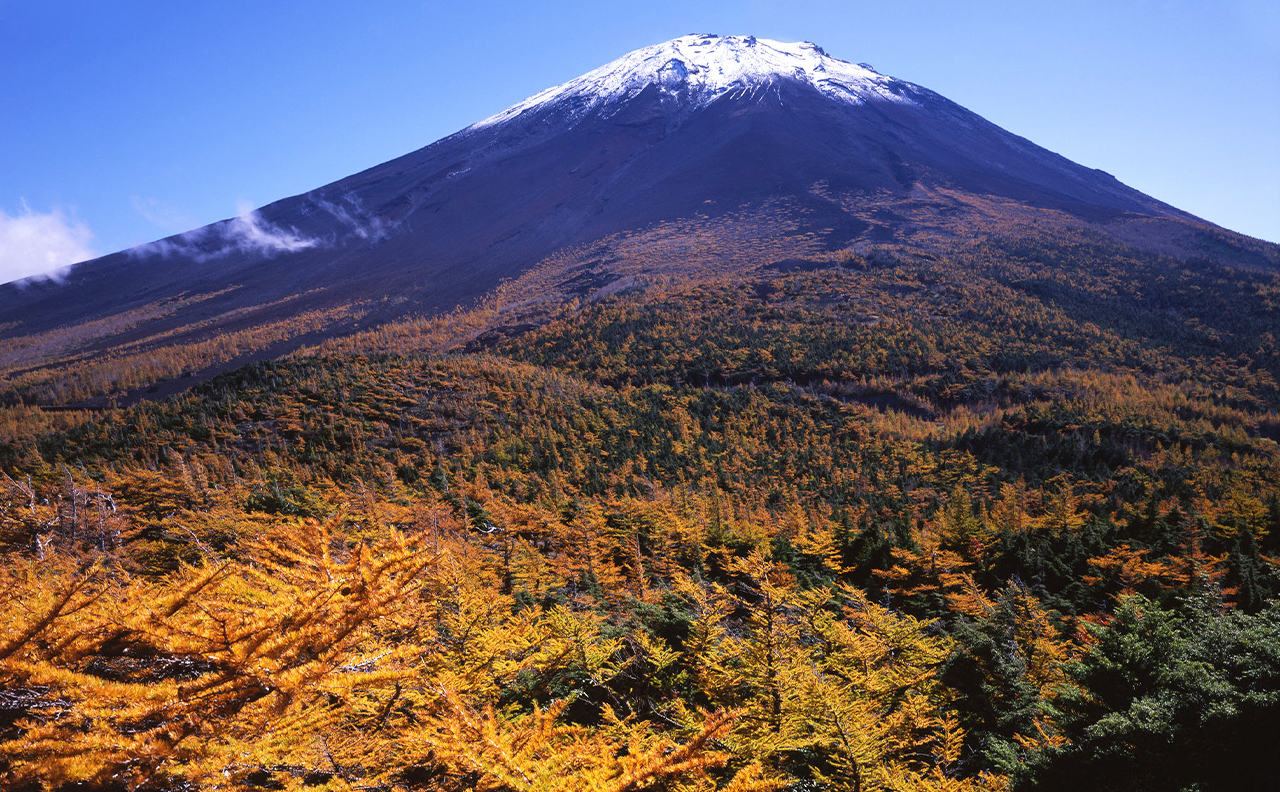 富士山五合+新倉山淺間公園+忍野八海+御殿場奧萊