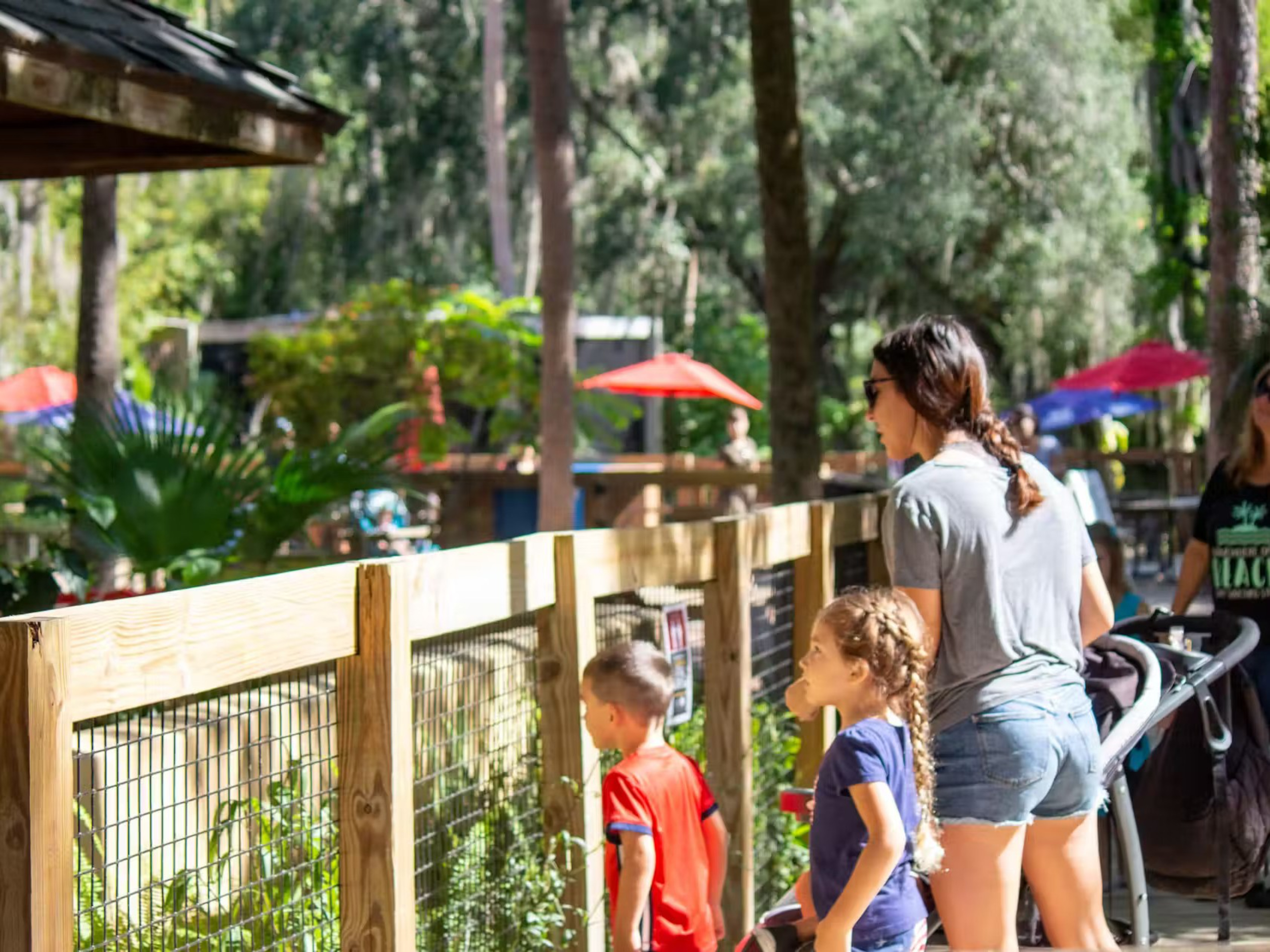 Central Florida Zoo and Botanical Gardens Ticket in Sanford, Florida