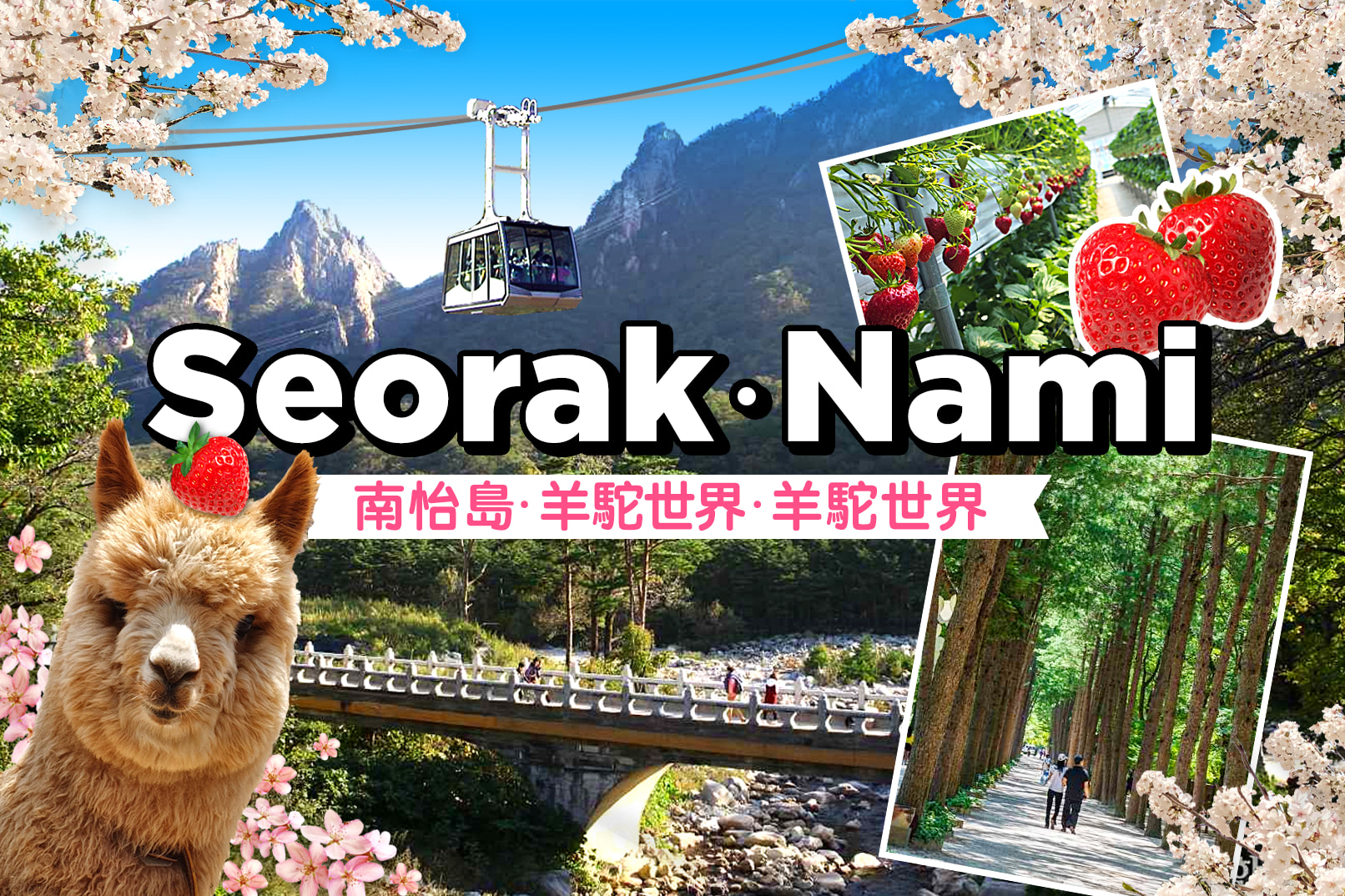 Seoraksan National Park + Nami Island + Garden of Morning Calm