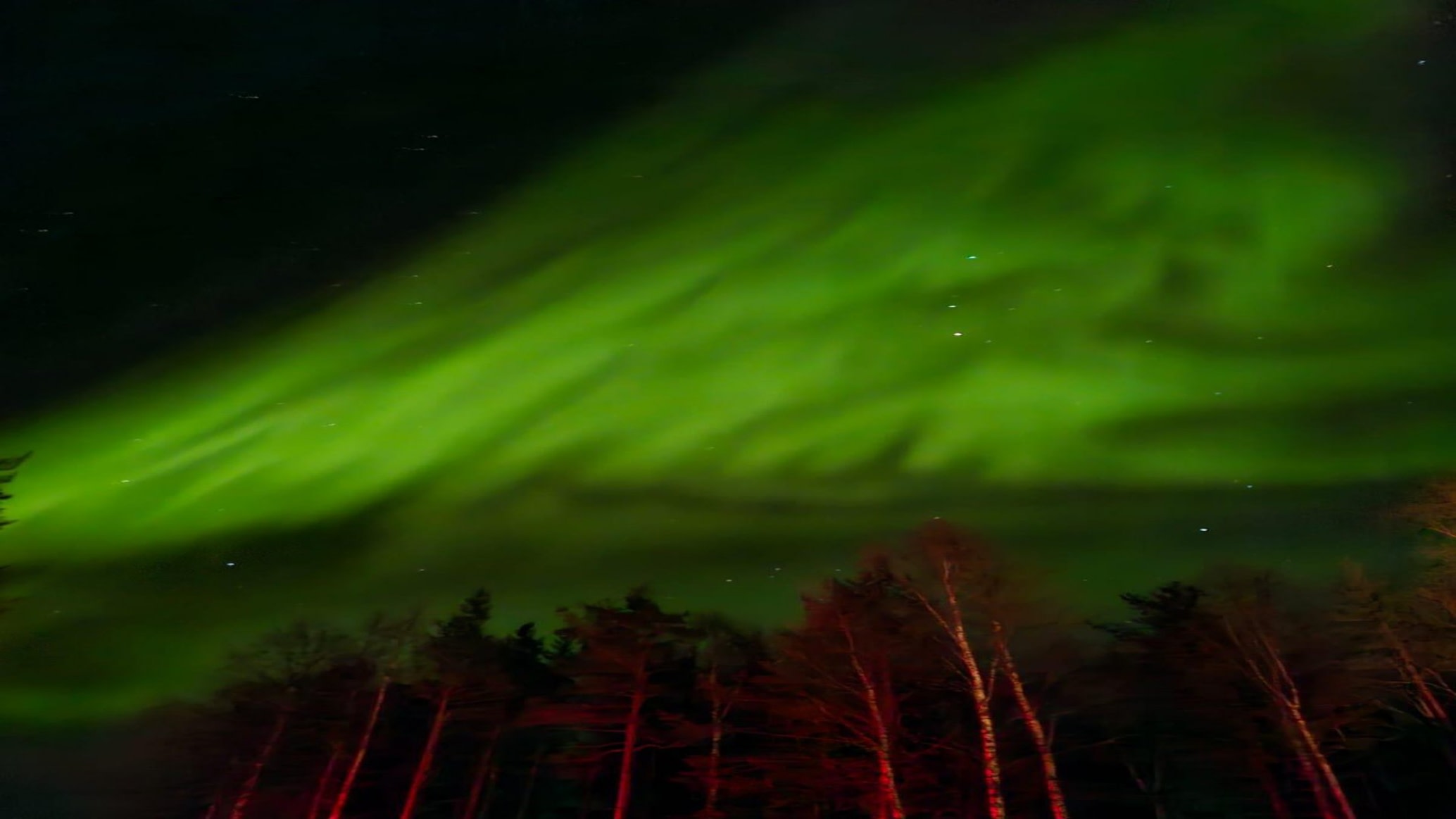 Rovaniemi Norvajärvi Northern Lights Half-Day Tour with Small Group