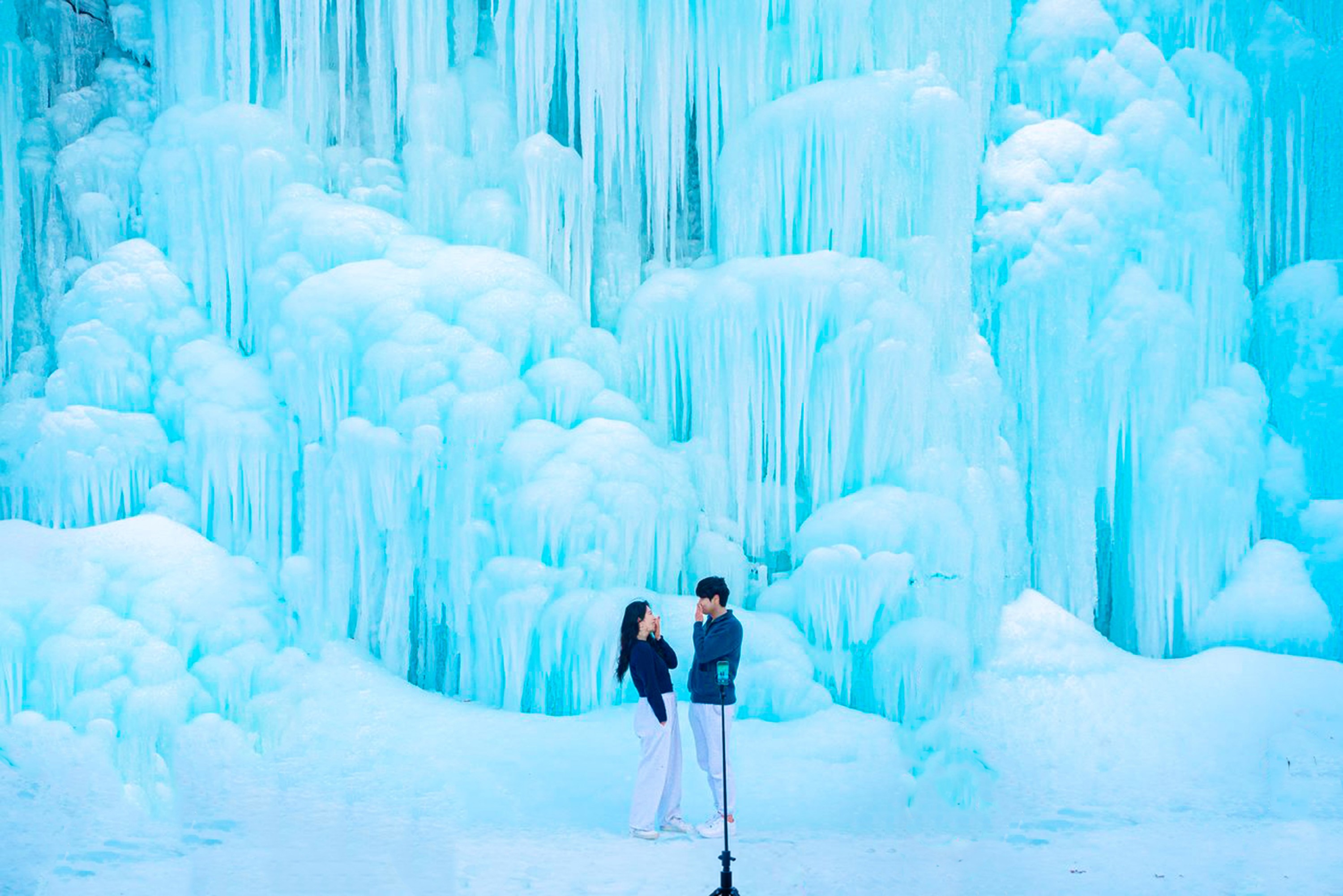 Nami Island / Cheon Il Hong / Pink Muhly / Rail Bike Day Tour