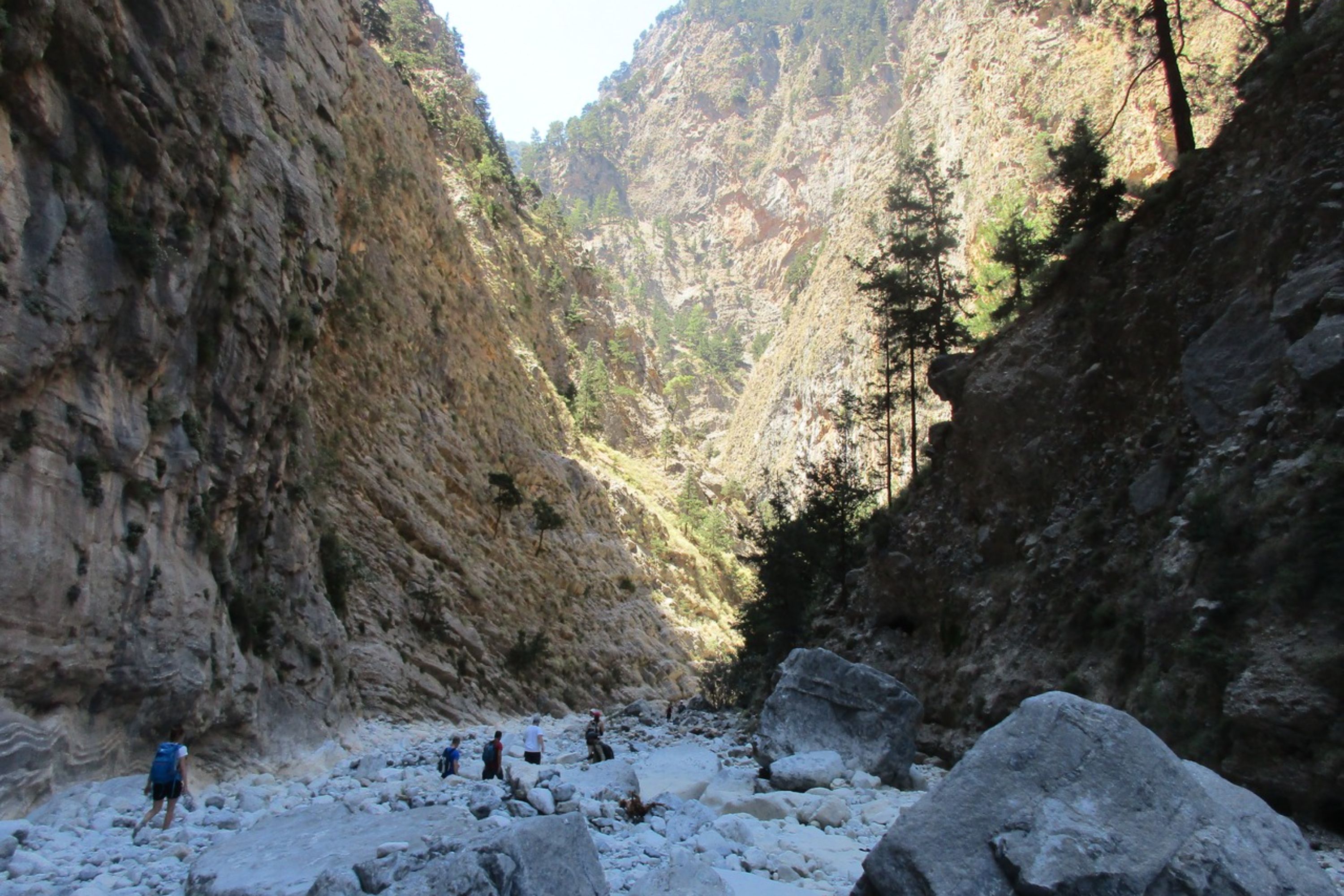 Immerse yourself in the natural beauty and serenity of Samaria Gorge National Park