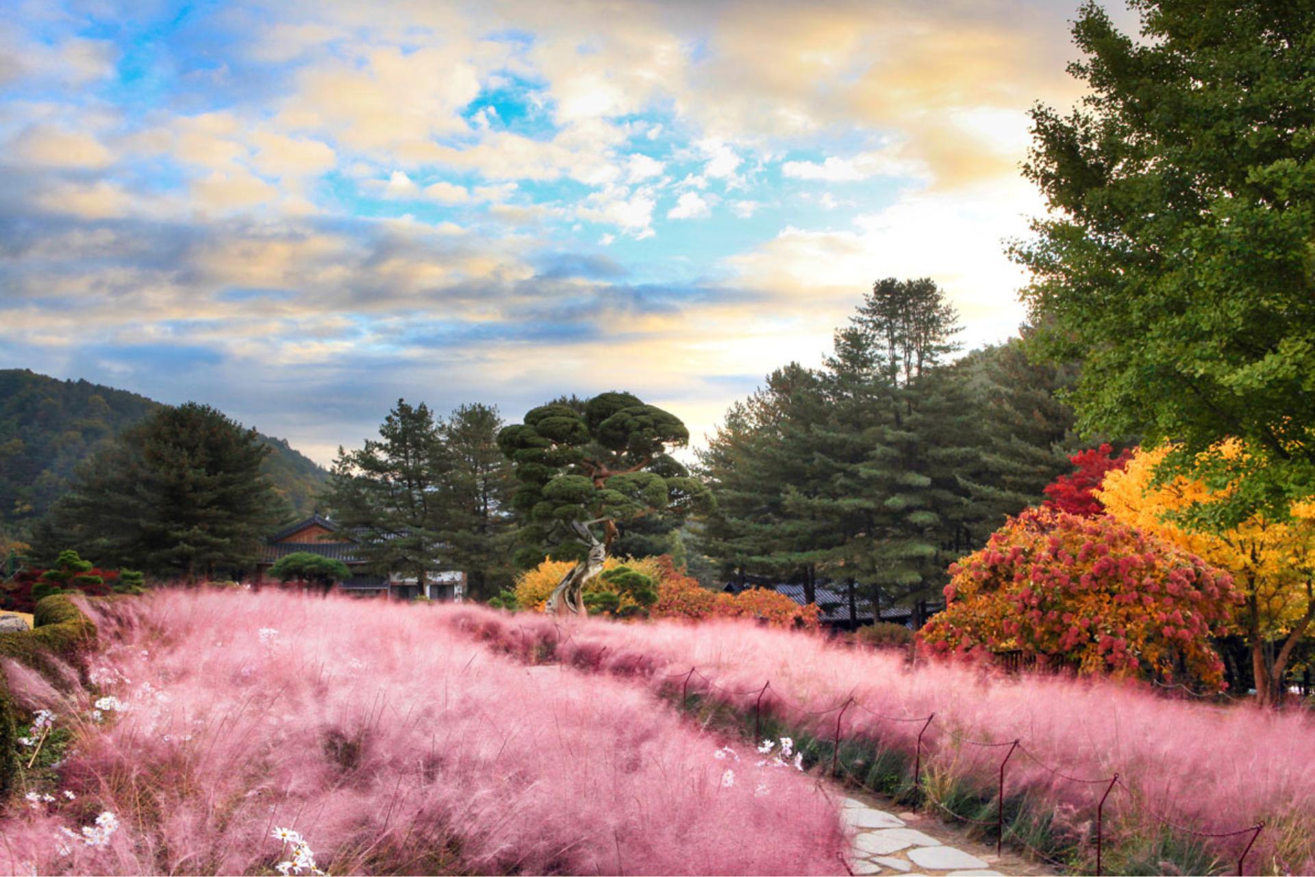 漫步於精心設計的庭園中,春天欣賞鬱金香、杜鵑花等繽紛的當季花卉,夏天則沉浸在翠綠的植物之中。 漫步於精心設計的庭園中,春天欣賞鬱金香、杜鵑花等繽紛的當季花卉,夏天則沉浸在翠綠的植物之中。