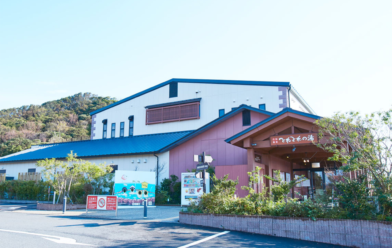 小眾和歌山一日遊｜toretore市場-金槍魚解體秀 & 白濱溫泉 & 邂逅貓站長 & 打卡千畳敷、三段壁｜大阪發車
