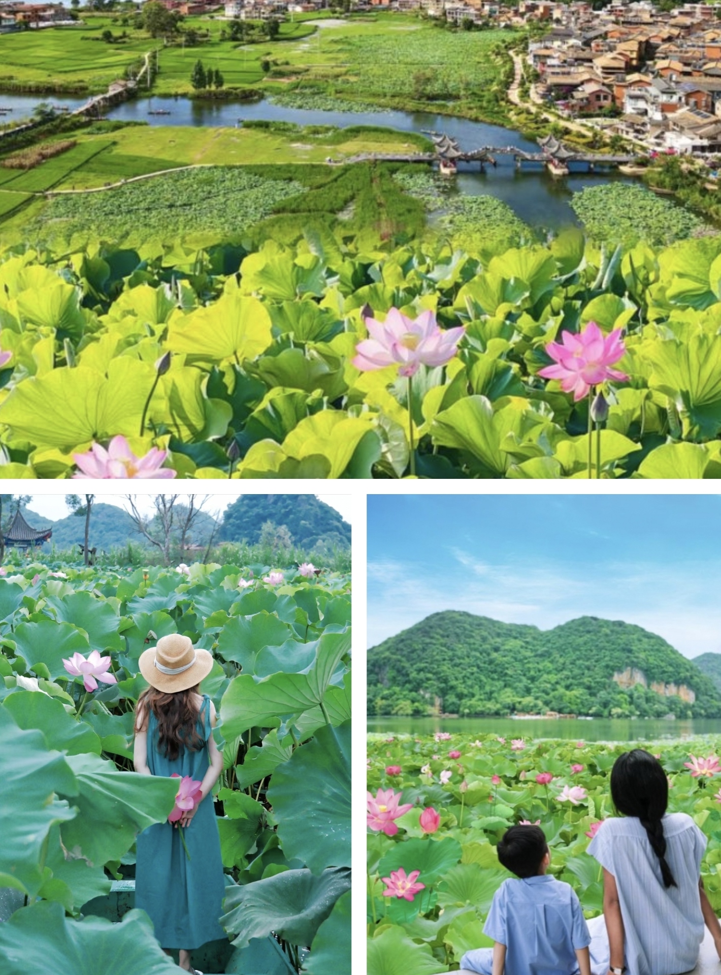 雲南滇東南撫仙湖建水普者黑彌勒6日私家團（自然科普寒武紀+海洋生態奇遇記+非遺體驗+小舟水戰+米軌小火車+海豚灣親子+建水和院+美憬閣）
